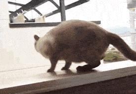 女婿发错信息给丈母娘新闻,女婿错把信息发给岳母怎么回复