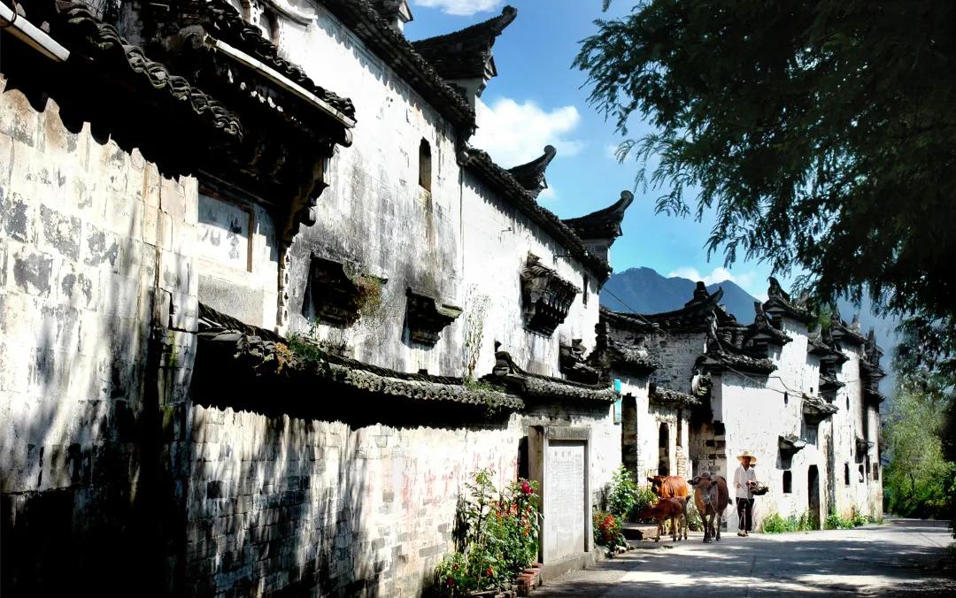 浙江世界最佳旅游乡村是,4村入选世界最佳旅游乡村