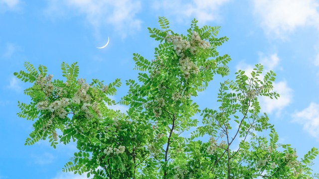 回忆相册里的人生感悟,生活图片感悟人生微信图文