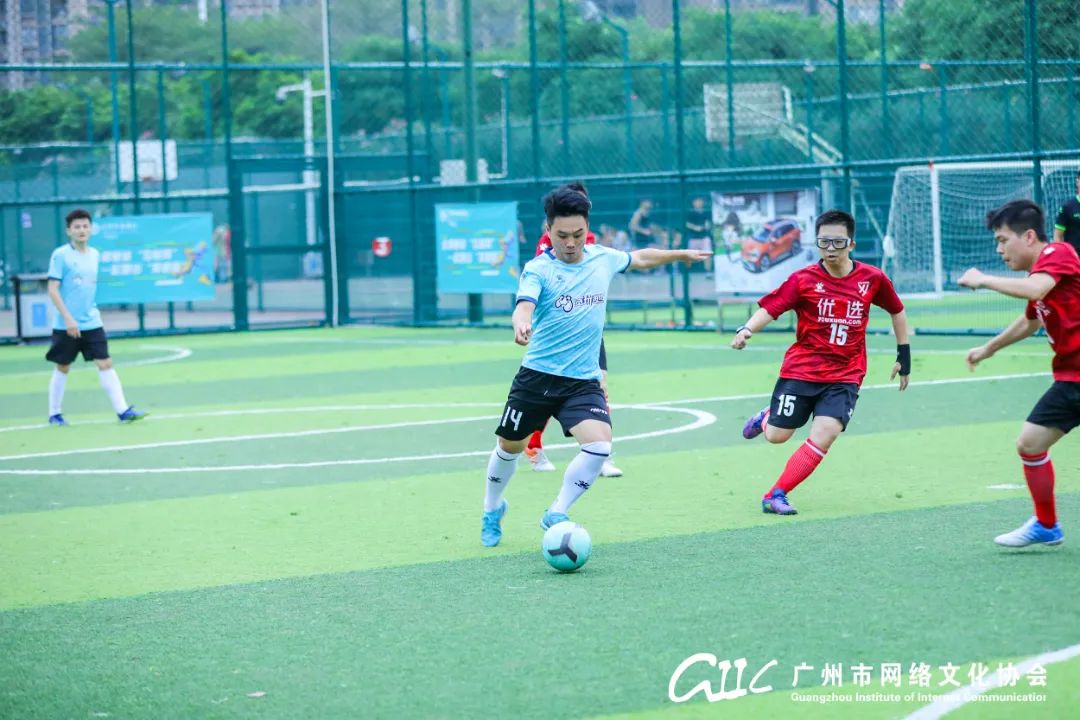 激情绿茵足球游戏,激情绿茵足球游戏生涯