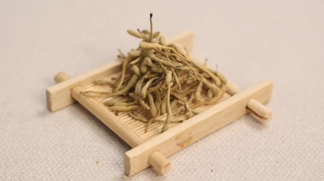 蒲公英和金银花是“好搭档”，不妨坚持泡水喝，但最好了解这3点