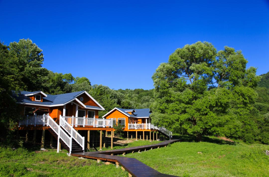 促进全域旅游发展,打造全域旅游发展标杆