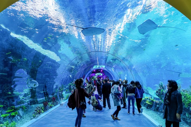 上海十大经典景点,最新上海十大景点