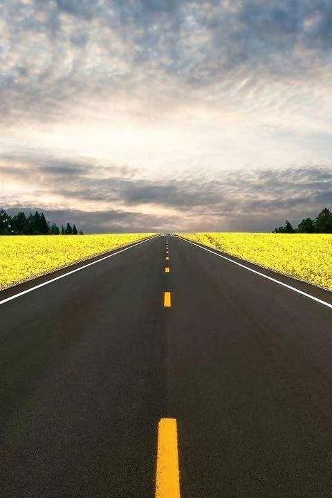 什么是苟且,什么是诗和远方和眼前的苟且