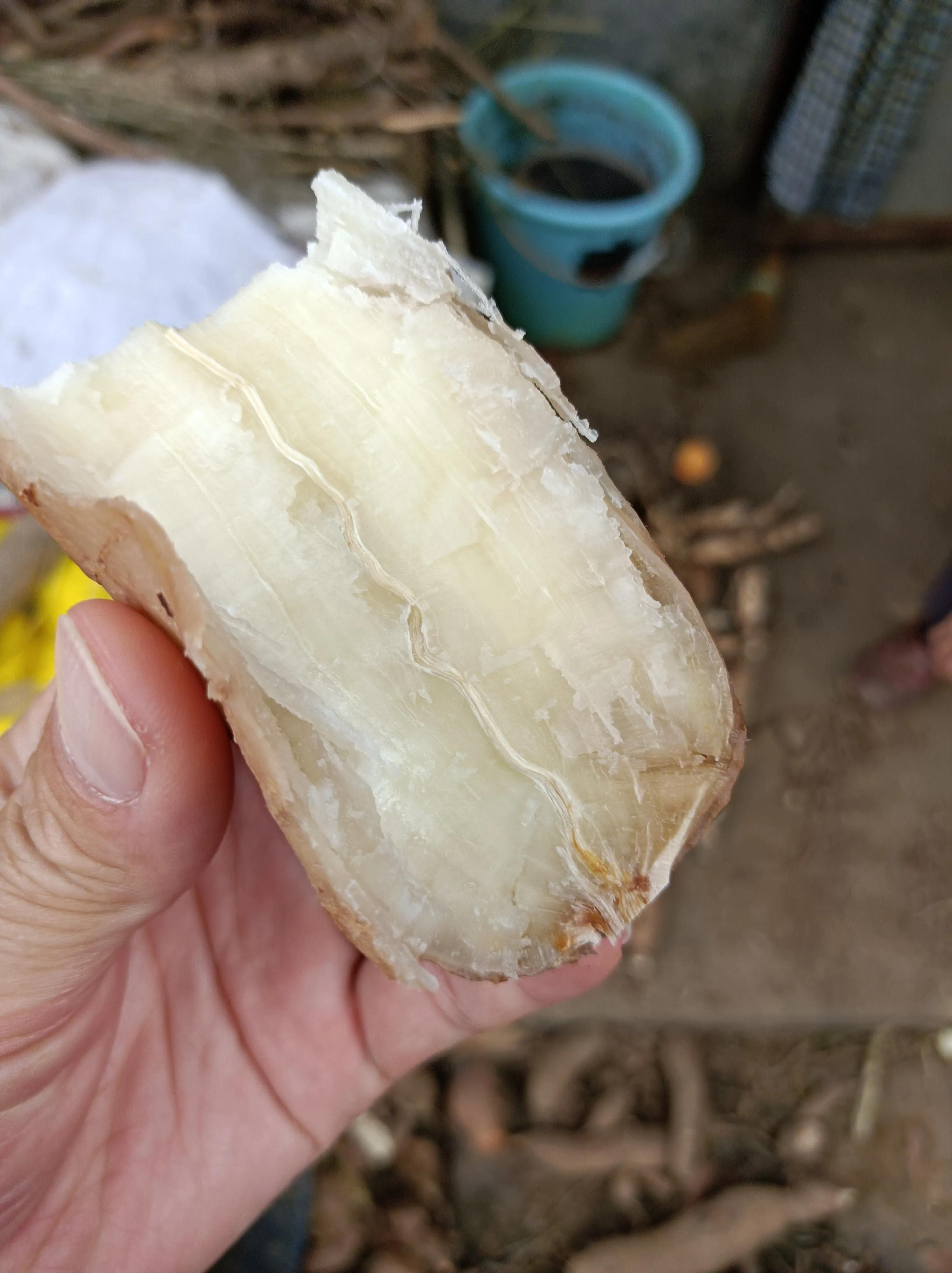 2021年6月13日骑行沽源,2023年11月份骑行活动