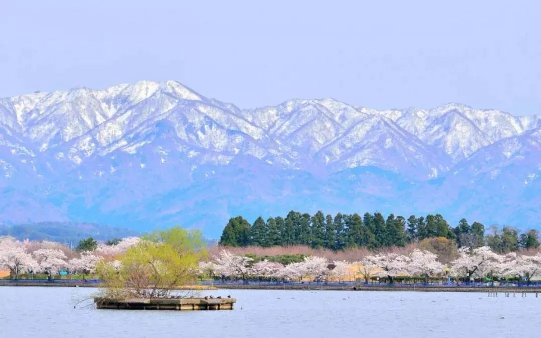 日本的冬天美景,日本的雪景真的太美了