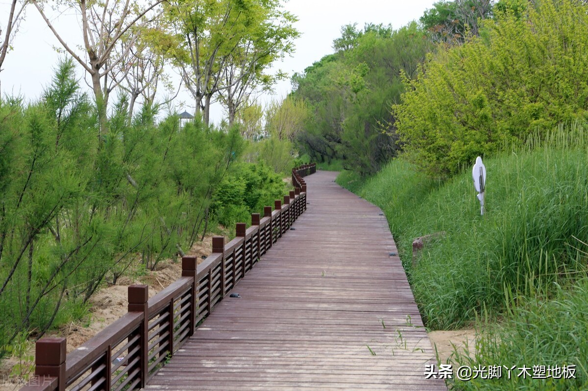 常用实木家具木材种类比较,户外防腐木的木板有哪些种类