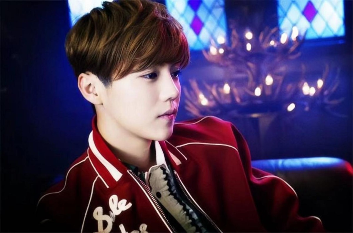 鹿晗33岁了吗,鹿晗在娱乐圈到底有多火