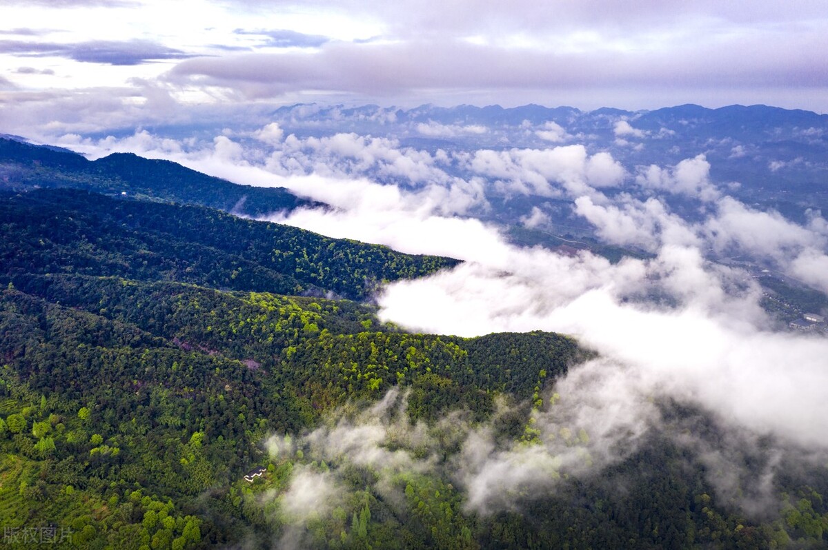 哥斯达黎加十大真实生活,哥斯达黎加是个怎样的国家