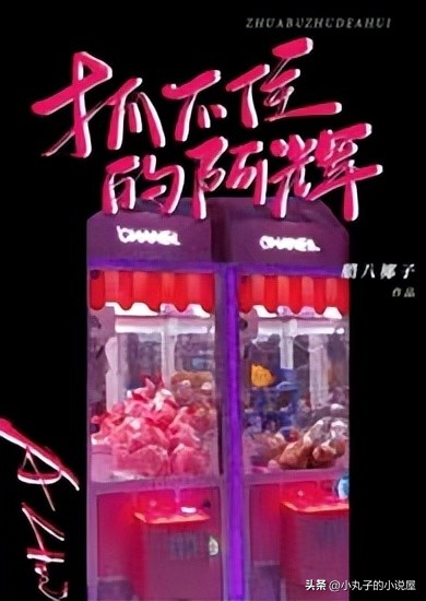 精选：抓不住的阿辉by腊八椰子，笨蛋大小姐vs自卑穷小子，治愈系