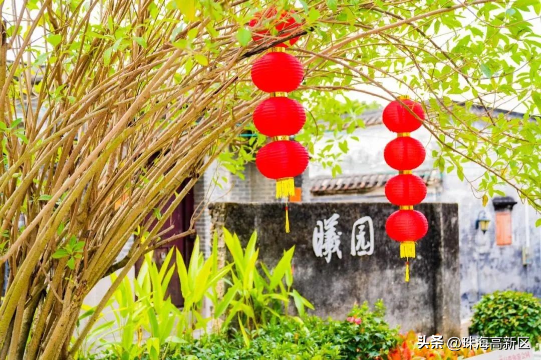 家门口的公园也有别样的风景,家门口的超美公园