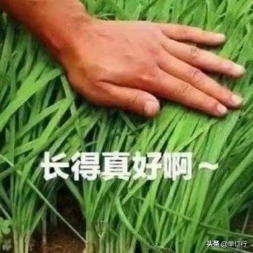 美团佣金合法吗,美团佣金到底贵不贵