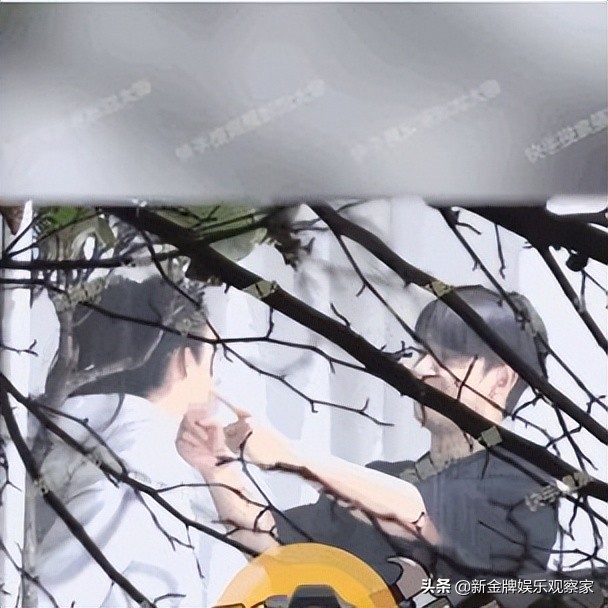 张俪陈若轩参加过什么综艺,陈若轩张俪