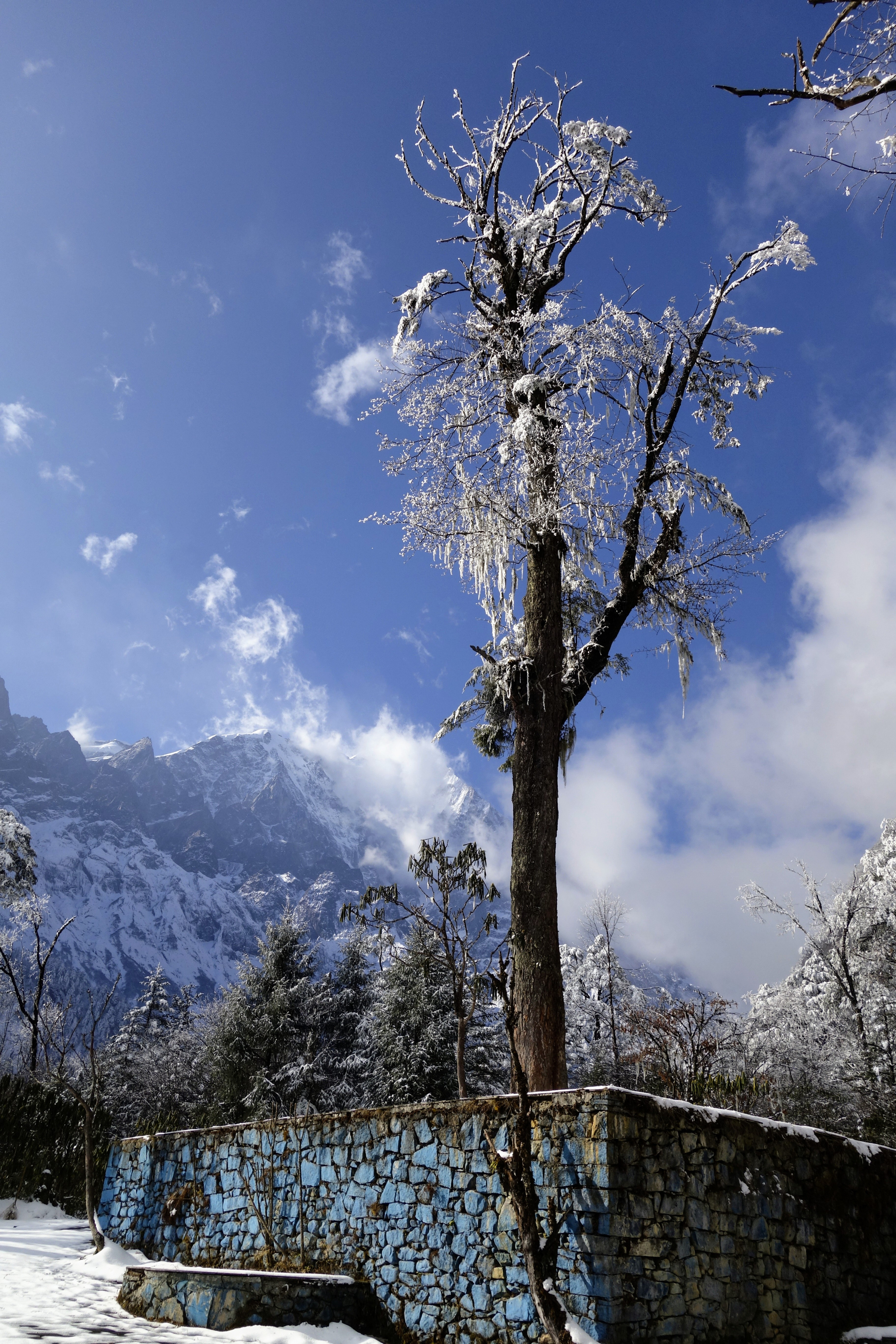 川西圣境游玩攻略,甘孜燕子沟攻略