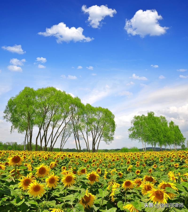 强制执行财产转移了怎么办,强制执行对方把财产转移了怎么办