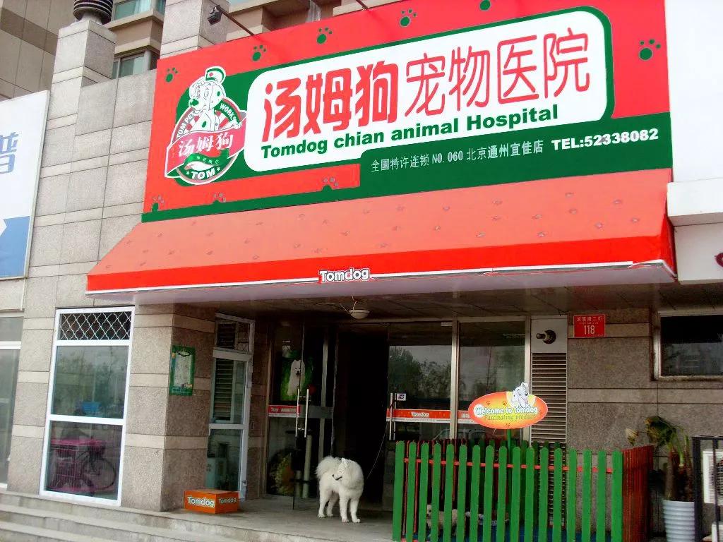 宠物医院怎么开才赚钱,开宠物医院赚钱吗现在