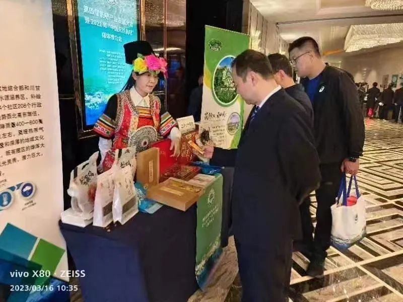 凝心聚力谋发展实干担当促提升,凝心聚力谋发展奋勇争先