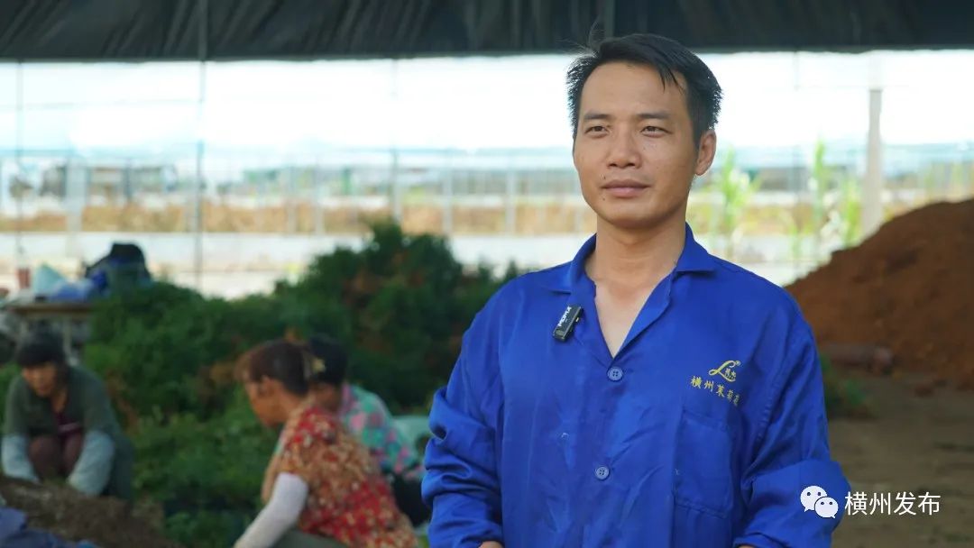 横州市：茉莉花盆栽热销全国香飘万里