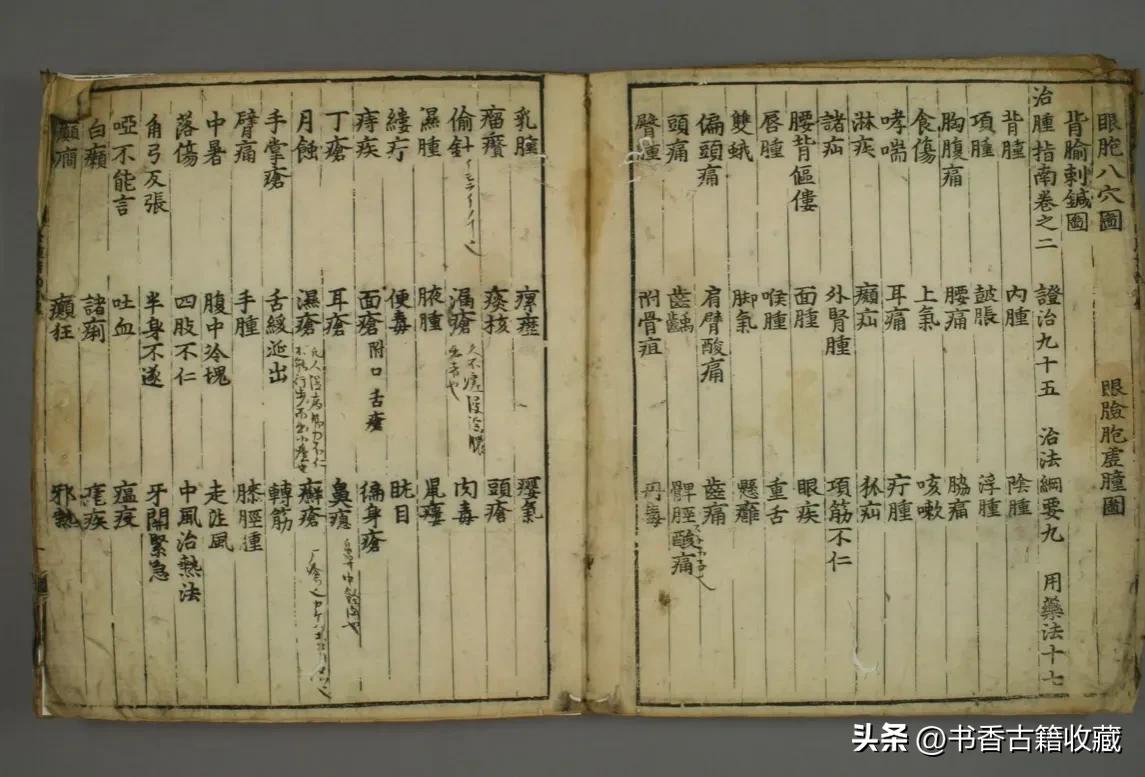 【中医秘本】《治肿指南》