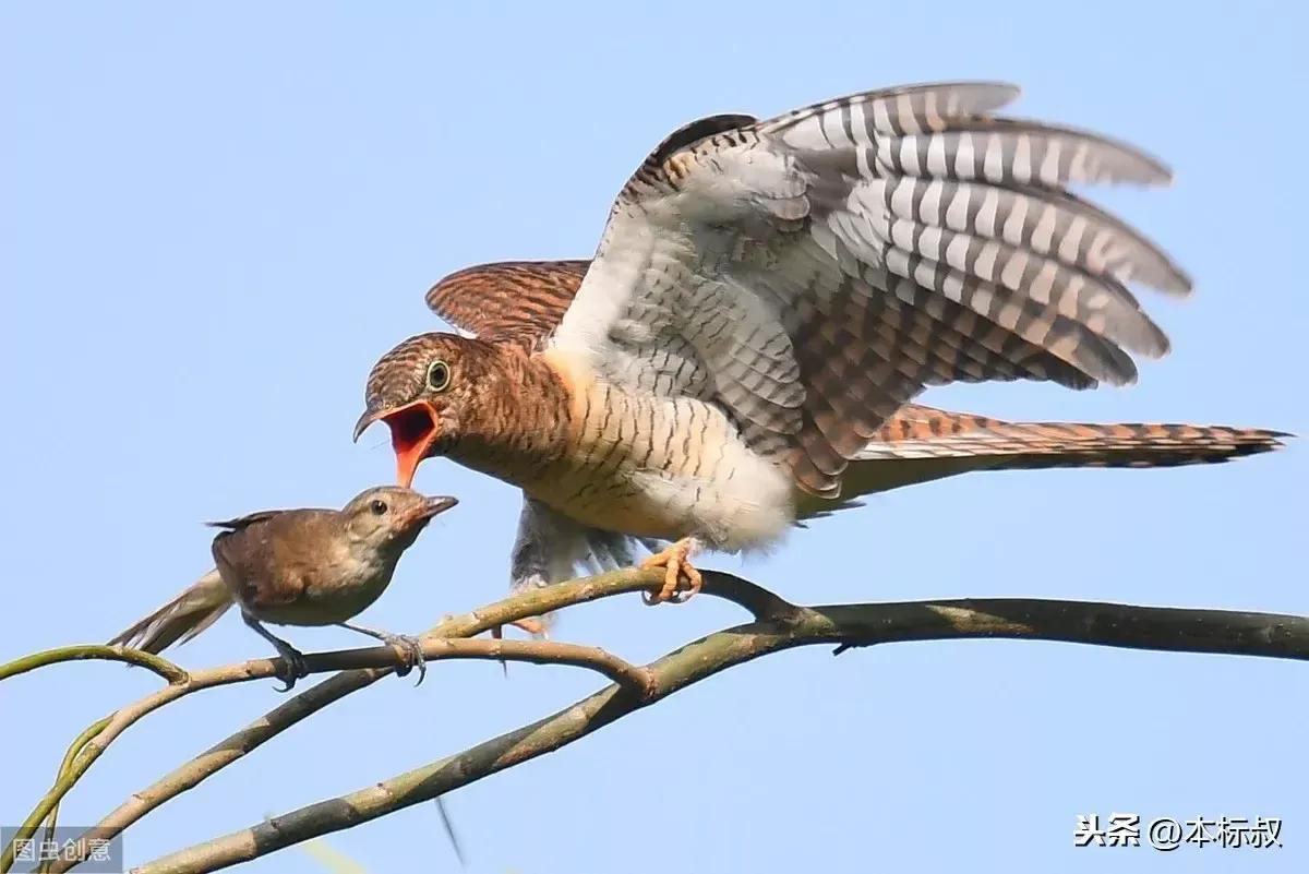 每日古文中学生,古文学习每日一篇