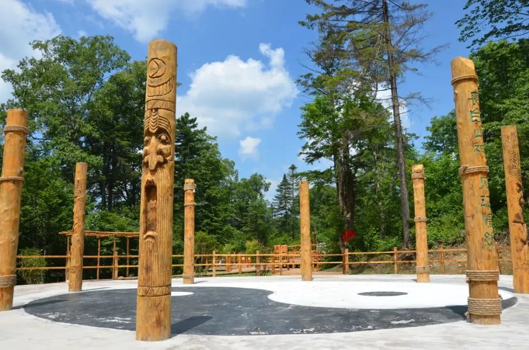 美好的夏天一切都在盛放,一切都从这个美好的夏天开始