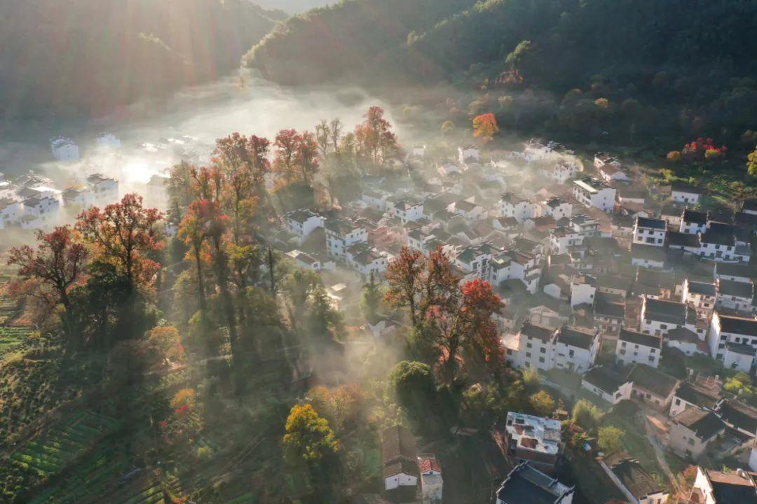 江西婺源三天两晚游最美景点,冬日婺源2天一夜旅游攻略