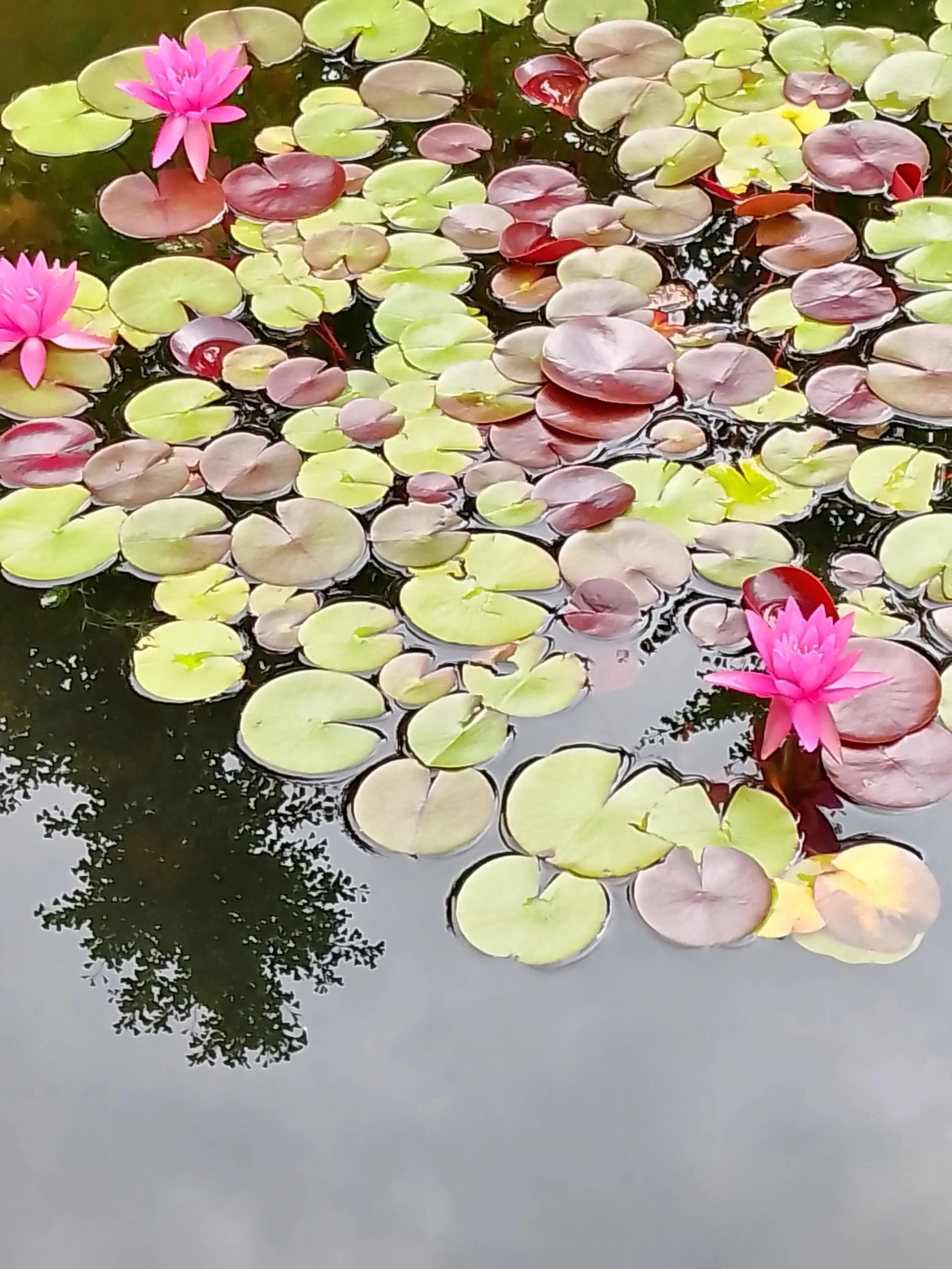 孤独寂寞随笔100字,一个人很寂寞随笔