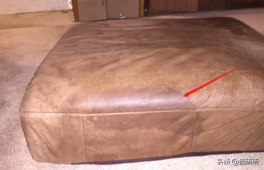 猫咪睡着了总尿床是怎么回事,猫咪总是尿床怎么办已绝育