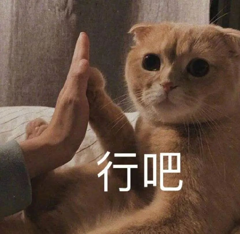 不想买皇家猫粮，但被医生拿捏了