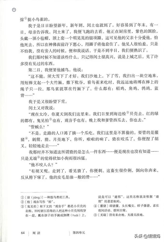 九年级上册语文第15课故乡预习,语文书人教版九上故乡ppt