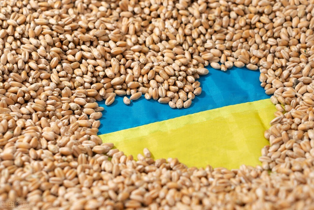 80后的我们捡过麦穗,七零后的我们一路向前冲