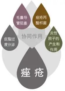 毛囊炎和湿疹的区别,毛囊炎是疮的范畴吗