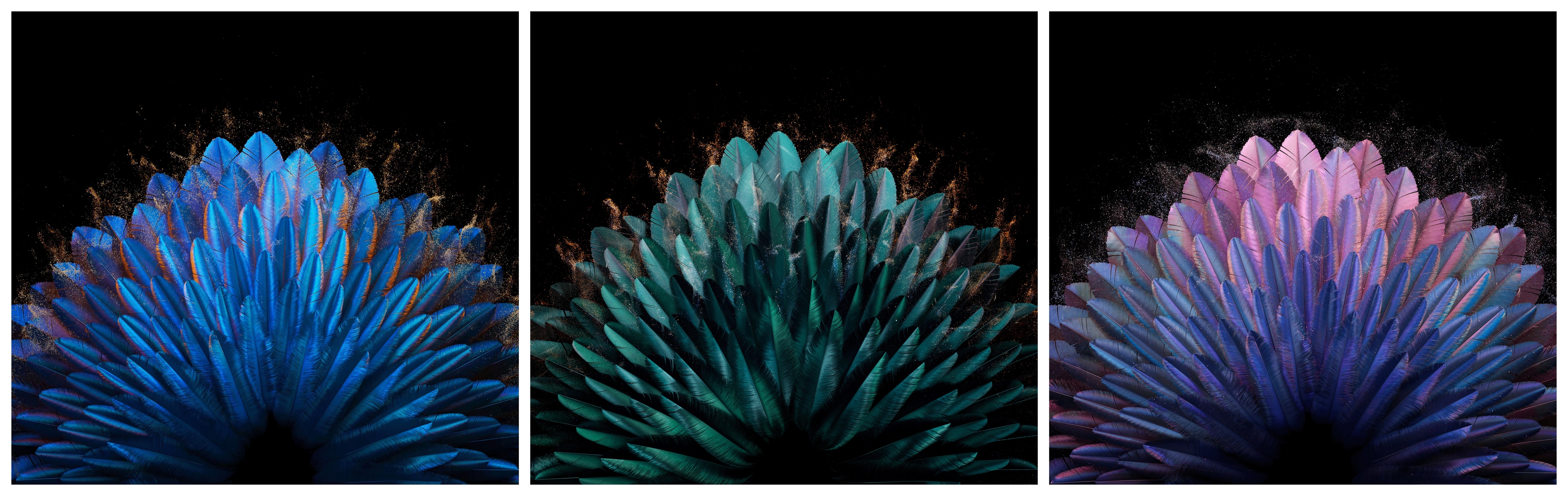 oppofindn2内置壁纸,OPPOFindN2Flip内置壁纸系列