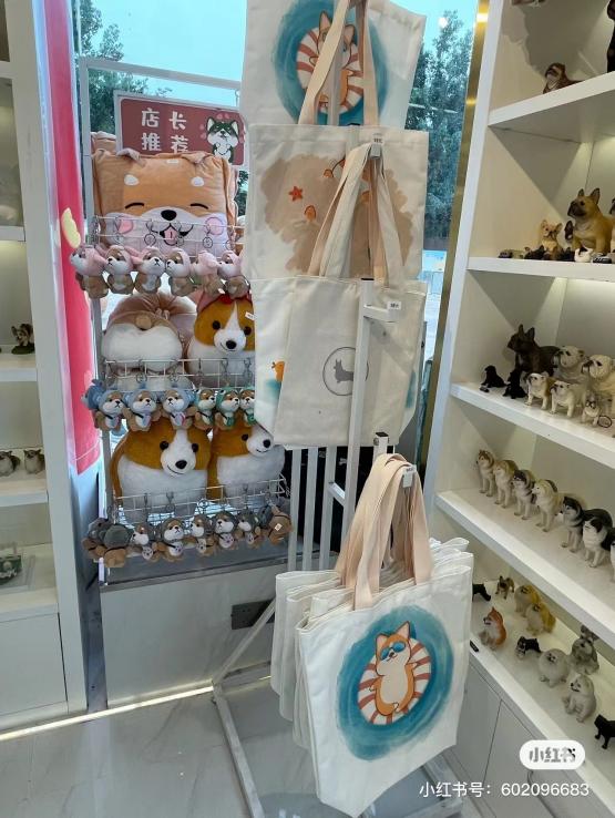 深圳开了一家柯基主题咖啡屋,柯基宠物咖啡馆