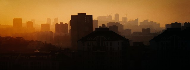 在生存和死亡面前圣母心没活路,上辈子我被闺蜜喂了丧尸(完)