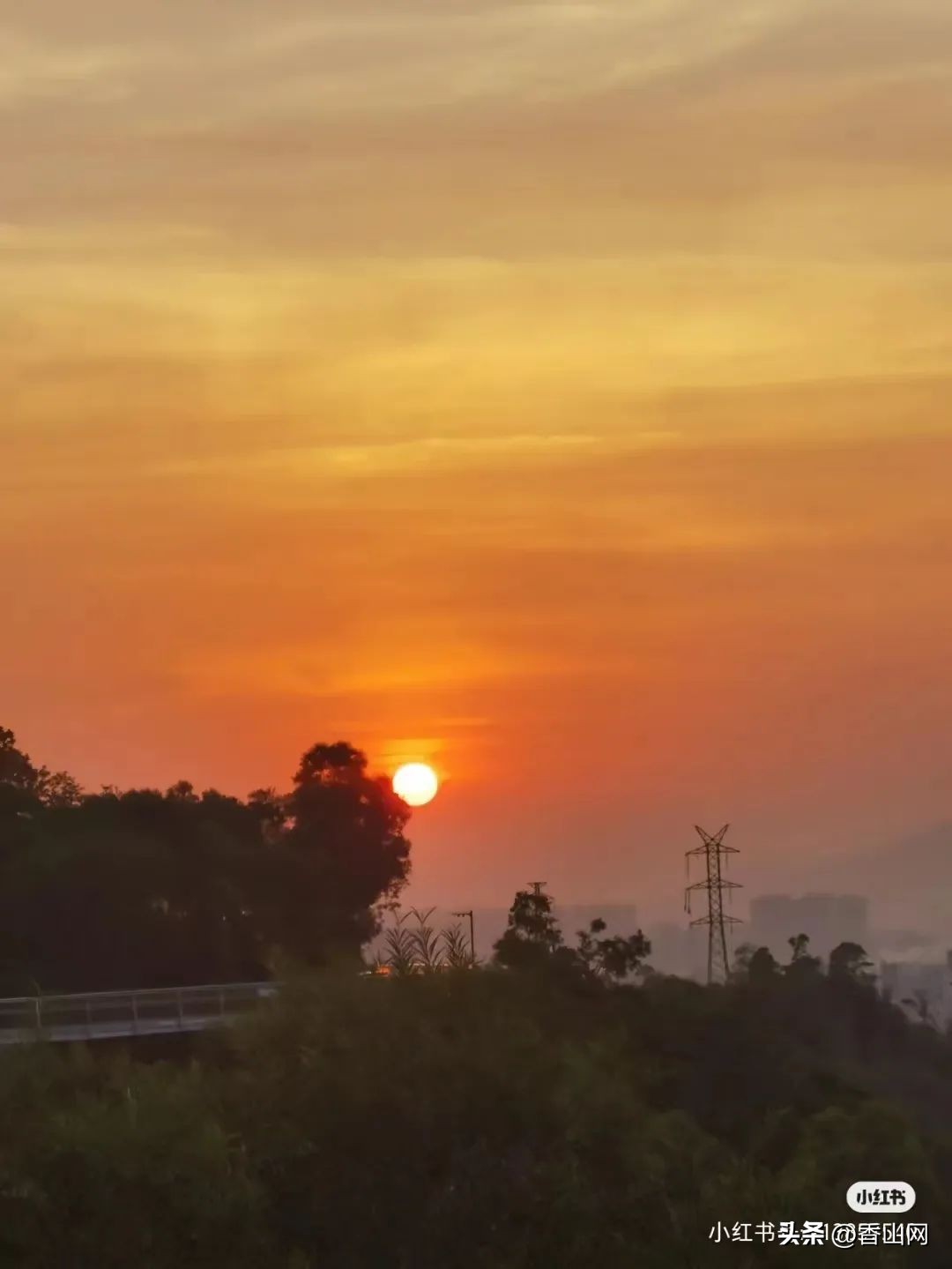 珠海香山湖公园云山栈道一游,珠海香山云道风景太美了