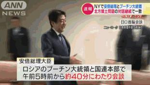 安倍妻子车祸,日本警方公布安倍遇刺案细节