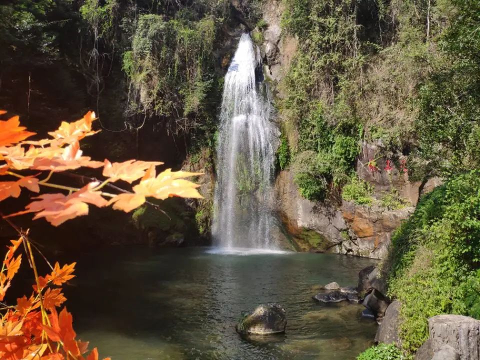 letsgo一周目图文攻略,letsgo图鉴攻略