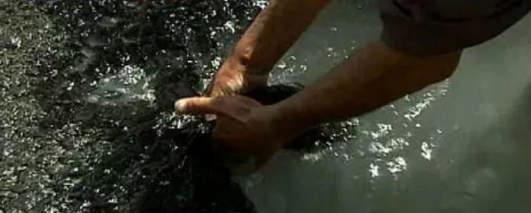 转进台湾之后，国民*党**依旧“优势在我”？