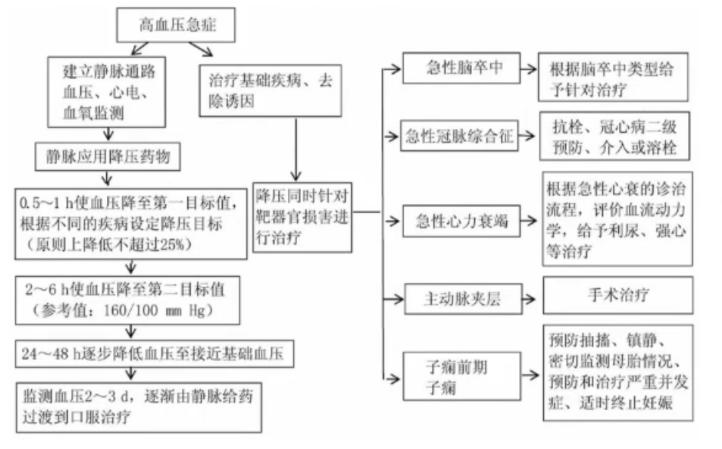 【临床分享】高血压急症的药物选择和注意事项!
