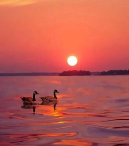 小小说朗诵背影,小小说徐志摩