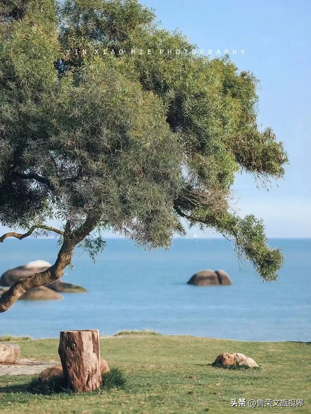厦门橘子海,去厦门想看海住在哪里合适