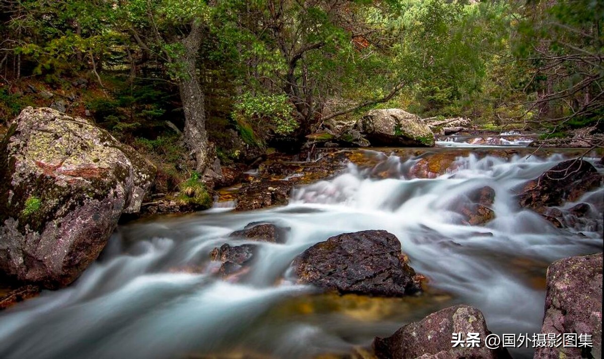 世界顶级唯美人像摄影师,世界顶级自然摄影师作品