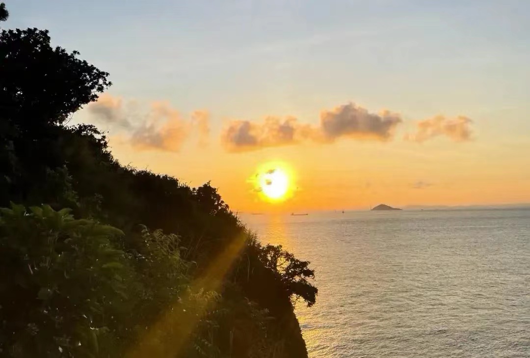 股东未完全出资，为何公司董事需向债权人承担490万美元的责任？