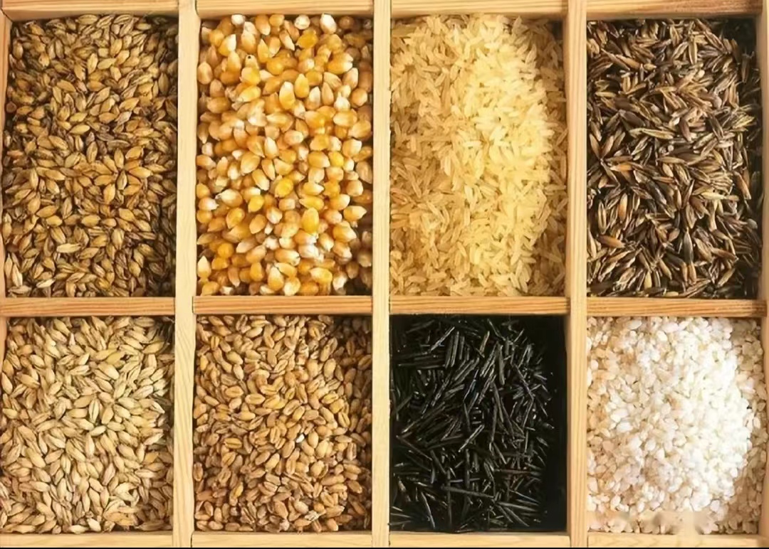 我们连年满车满船地从海外买粮食，中国的饭碗还能端得稳吗？