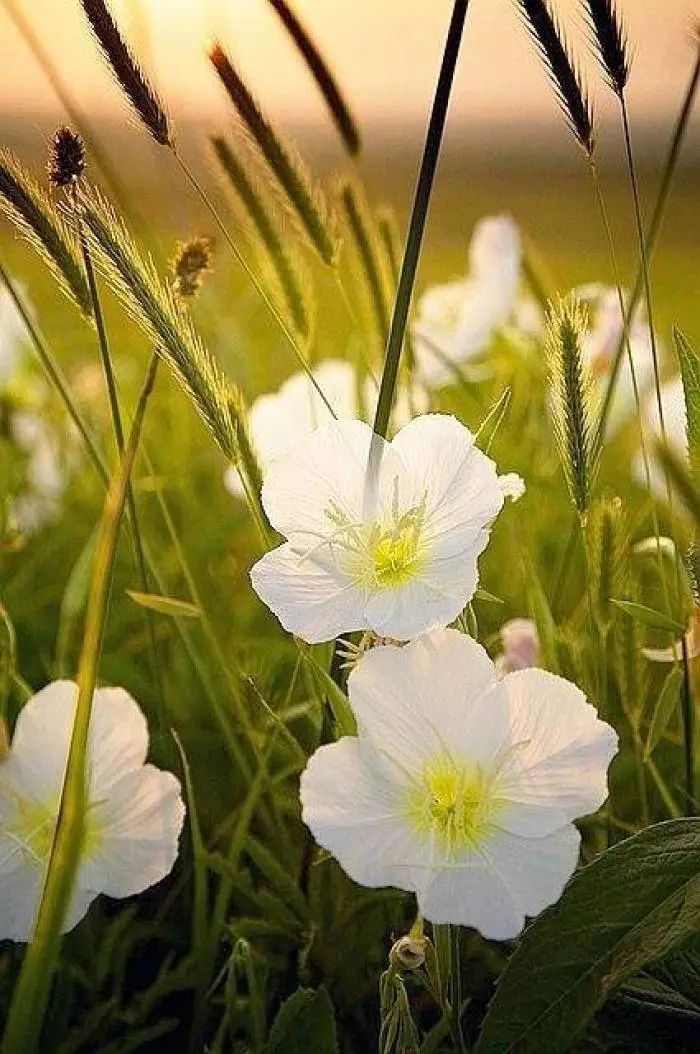 4年前的衣服,4年前买的衣服