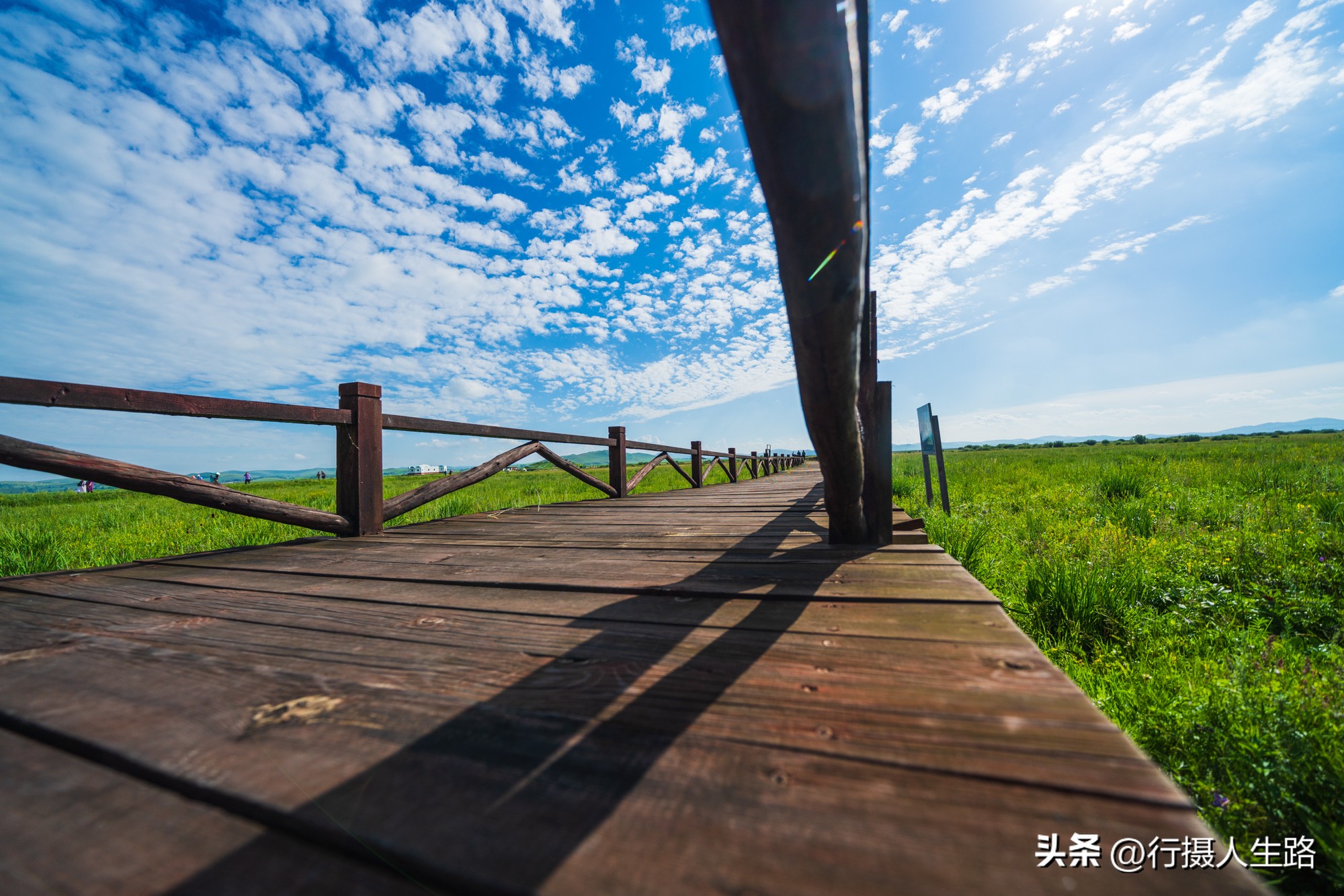 一路向北去追寻夏日美景,一路向北去呼伦贝尔大草原