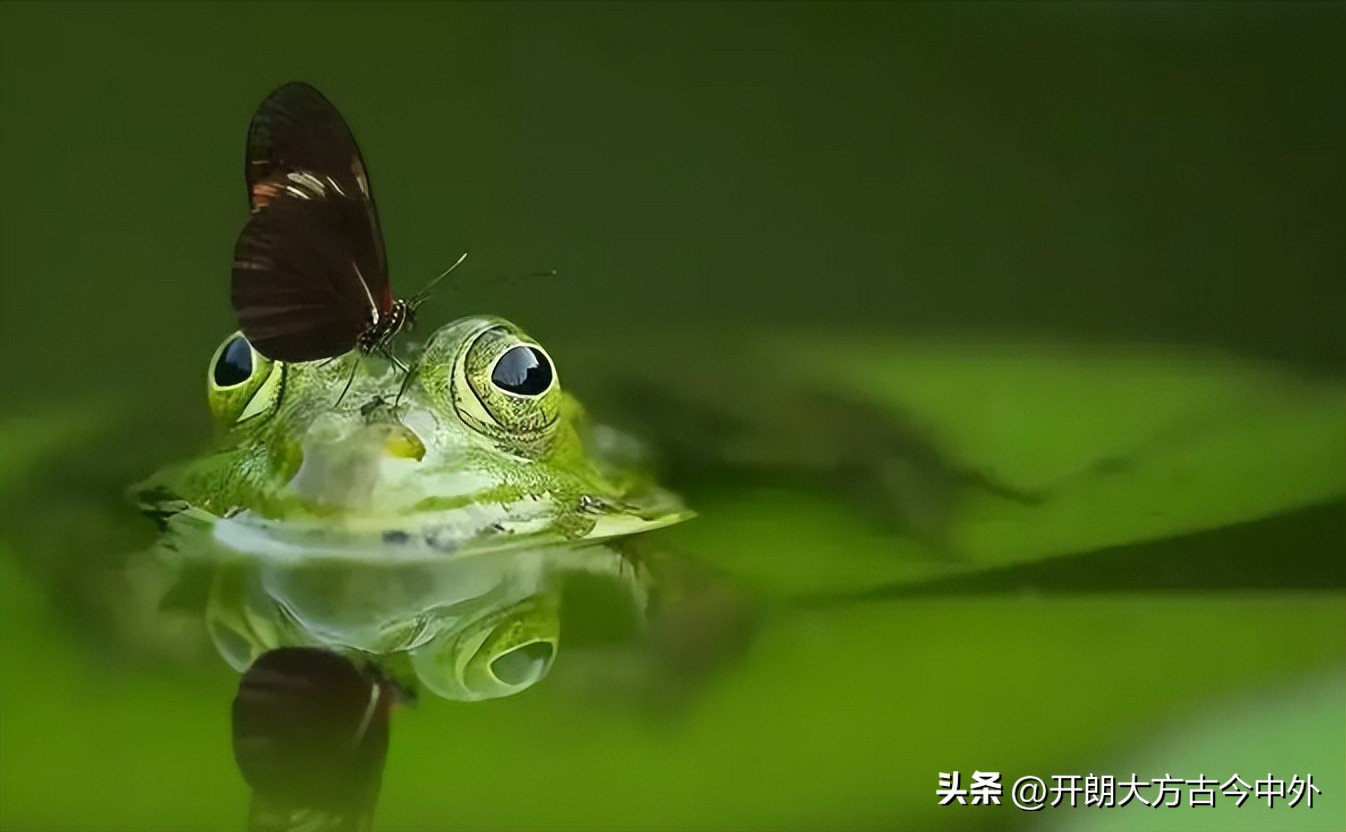 诗情画意的律诗,吠陀经的大致内容