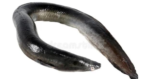 常见的发物食物图,常见的发物都有啥