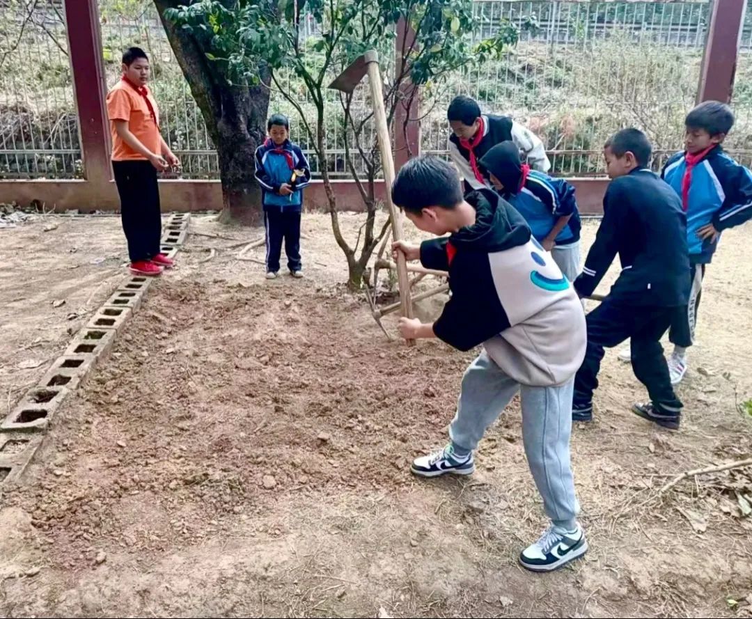 绿美太邑蔬香校园